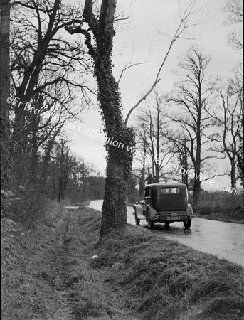 HALF WAY TREE ON LIMERICK ROAD